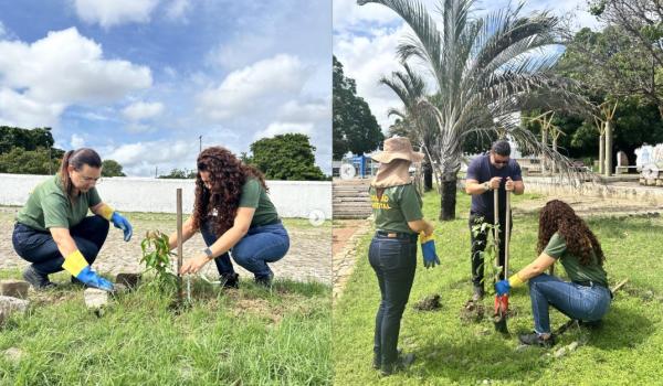  Prefeitura realiza plantio de &aacute;rvores em pra&ccedil;as e espa&ccedil;os p&uacute;blicos de Floriano.(Imagem:Reprodu&ccedil;&atilde;o/Instagram)