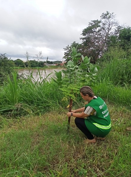 SEMAN promove ação de monitoramento de plantios realizados às margens do rio Parnaíba