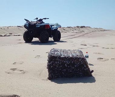 Sobe para 33 os pacotes que chegam às praias do Piauí