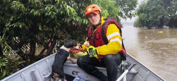 Bombeiros do Piauí auxiliam famílias e resgatam mais de 30 animais no Rio Grande do Sul