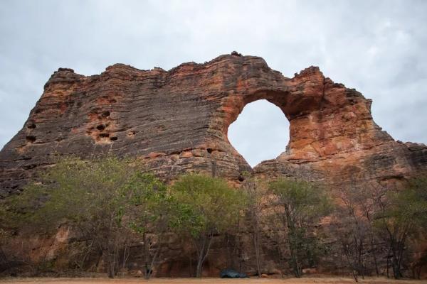 Dia do Piauí: leia o poema sobre as riquezas do estado guardado há mais de 70 anos
