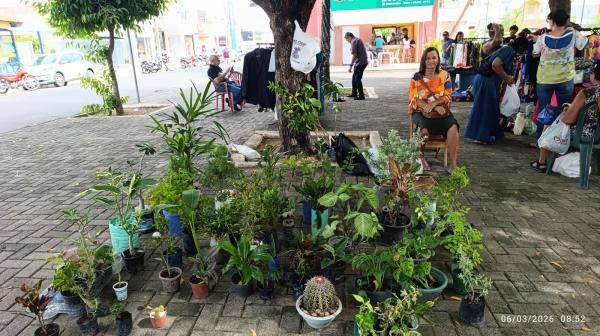 FLORIARTE movimenta Praça Dr. Sebastião Martins e valoriza cultura e produção local em Floriano(Imagem:FlorianoNews)