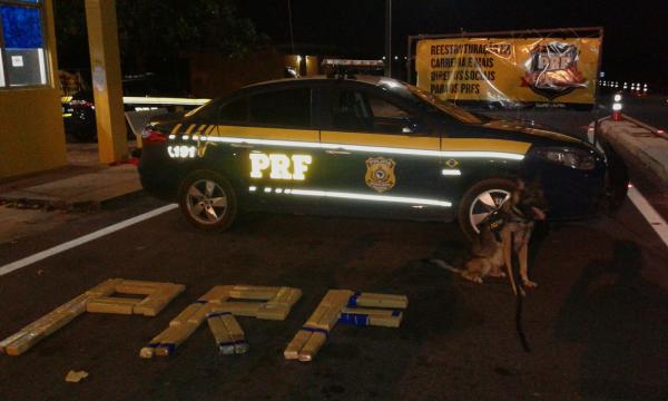 PRF apreende 40 kg de maconha em Piripiri/Pi