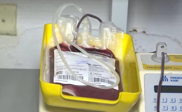 Dia Mundial do Doador de Sangue: veja como doar