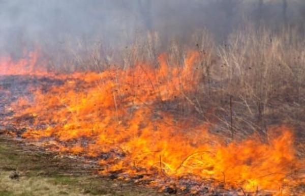 Meio Ambiente realiza abertura da 2º edição de projeto contra incêndios em Floriano