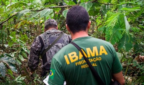 Ibama pede abertura de edital de concurso para preencher 2.311 vagas