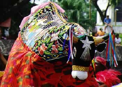 Boi do Cais não participa das festas juninas