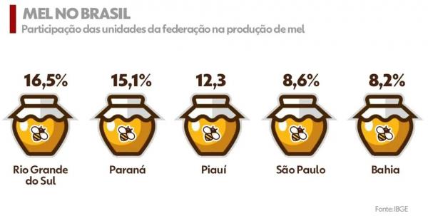  Maiores produtores de mel no pa&iacute;s.(Imagem:g1 Piau&iacute; )