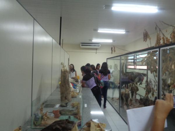 Estudantes realizam viagem técnica a órgãos de Floriano.(Imagem:FlorianoNews)