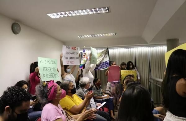 Gestantes e profissionais da sa&uacute;de protestam na Alepi e pedem que lei do parto humanizado n&atilde;o seja revogada no Piau&iacute;.(Imagem: Ilanna Serena/g1 )