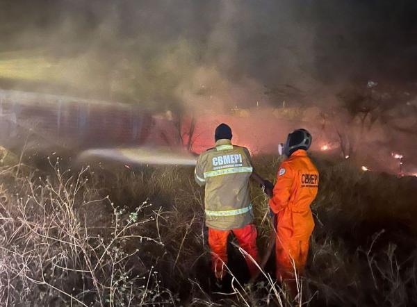 Bombeiros: combate a incêndios florestais é destaque em 2024(Imagem:Divulgação)