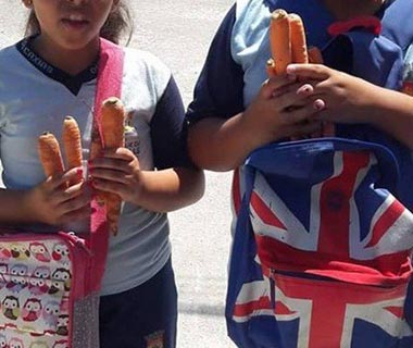 Alunos de Caxias recebem cenouras em "kit saudável de Páscoa" e pais criticam
