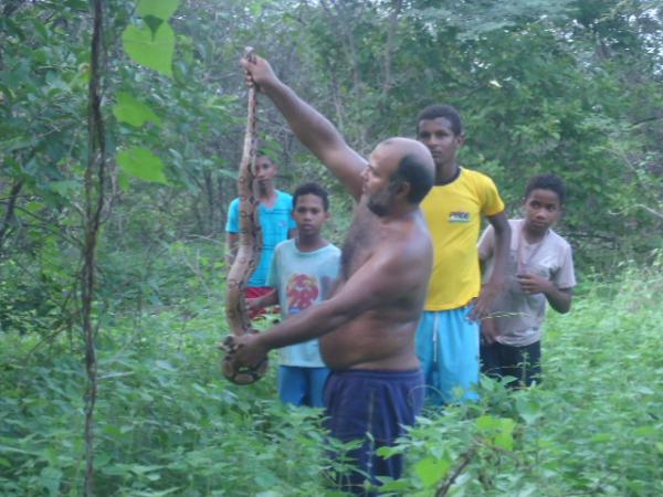 Cobra jiboia &eacute; encontrada dentro de resid&ecirc;ncia em Floriano.(Imagem:FlorianoNews)