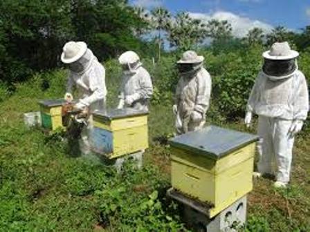 Emgerpi, Fapepi e Sedet estudam instalação de centro de pesquisa em Picos