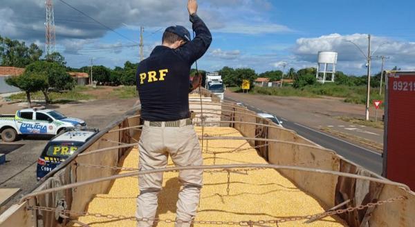 A droga estava escondida dentro da carga de milho a granel em um caminh&atilde;o bitrem(Imagem:Divulga&ccedil;&atilde;o/PRF)