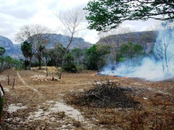 Incêndio atinge fazendas há três dias e mata animais em Campo Maior