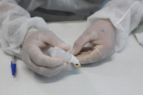 Piauí registra 473 novos casos e cinco mortes por Covid-19 em 24 horas