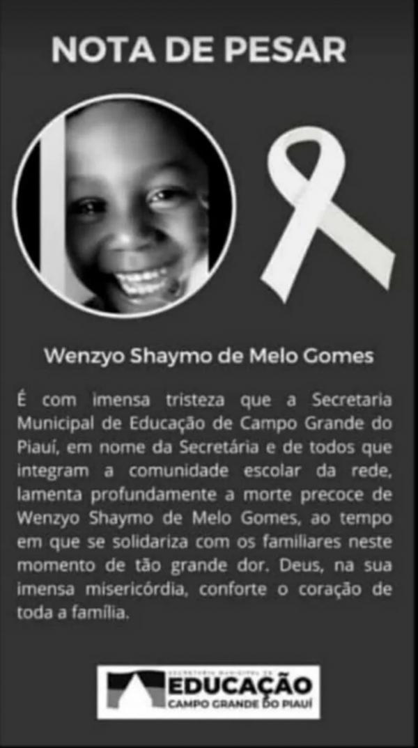 Crian&ccedil;a morre atropelada por carreta na BR-316, em Campo Grande do Piau&iacute; (Imagem:Reprodu&ccedil;&atilde;o)
