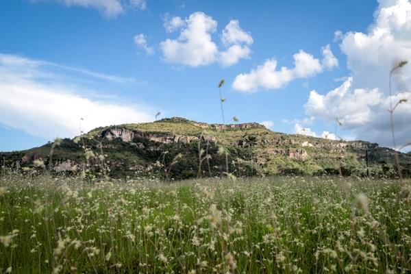 O atrativo turístico é um verdadeiro refúgio ambiental e destaca o potencial ecológico e sustentável do Piauí(Imagem:Moura Alves/Ascom Semarh)