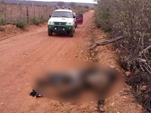 Polícia investiga crime de pistolagem na divisa do Piauí com o Pernambuco