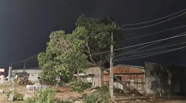 Ap&oacute;s chuva, &aacute;rvores caem sobre rede el&eacute;trica e provocam falhas de energia em Teresina(Imagem:Divulga&ccedil;&atilde;o/Equatorial Piau&iacute;)
