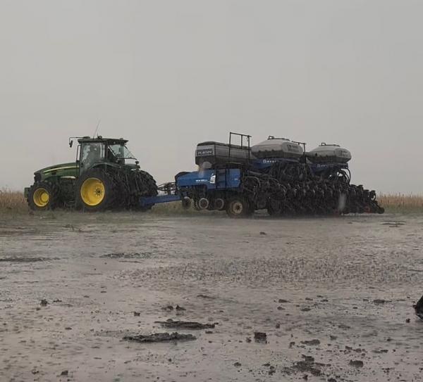Excesso de chuva atrasa colheita da soja no sul do Piauí e preocupa produtores(Imagem:Divulgação)