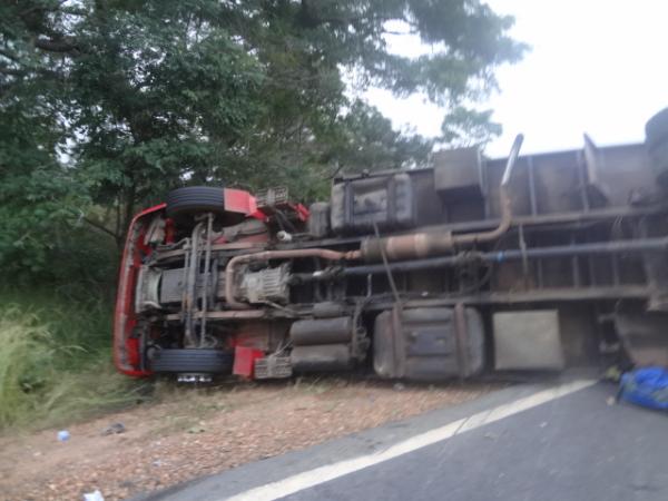 Caminhoneiro tenta desviar de animais na pista e capota caminhão